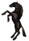 CABRED HORSE - Mat resin - Black matte