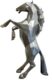 HORSE - Matte resin - Grey