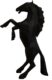 HORSE - Matte resin - Black