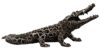 CROCODILE - Autres Finitions - Luminescent - Noir