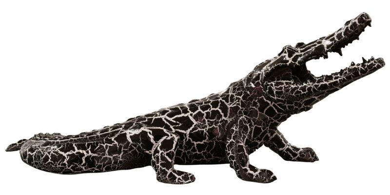 CROCODILE - Autres Finitions - Luminescent - Noir