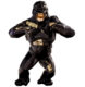 WILD KONG T800 - Resin & Bronze