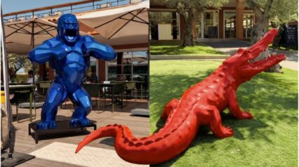 Sur les courts de Saint-Tropez