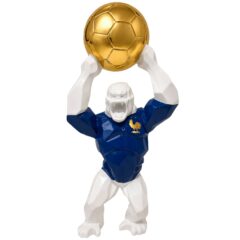 WILD KONG FOOTBALL