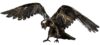 FALCON - Résine Crackled Chrome - Noir